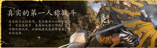 视觉数据6